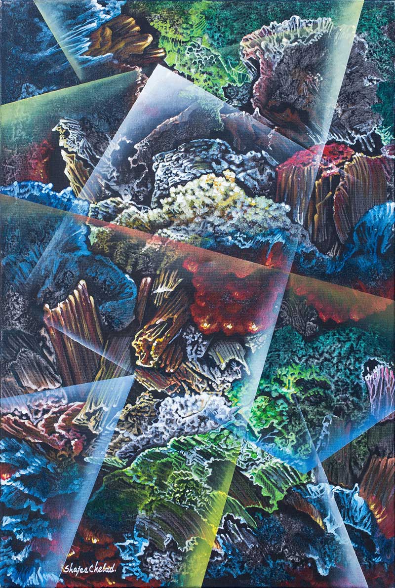 Shajee Chelad Acrylic on canvas