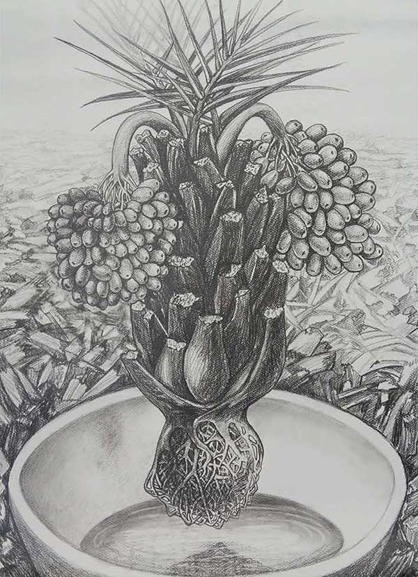 Shajee Chelad pencil on canvas